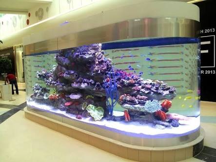 Acuario marino hermoso